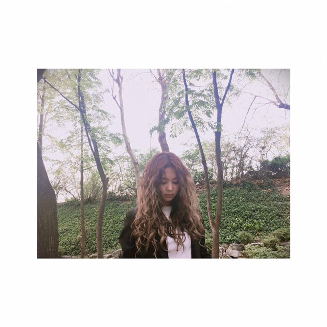 블랙핑크 인스타그램 폭풍 업뎃.jpg | 인스티즈