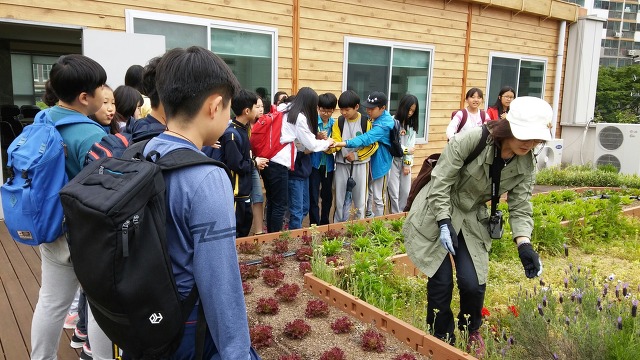 금명초등학교 이미지