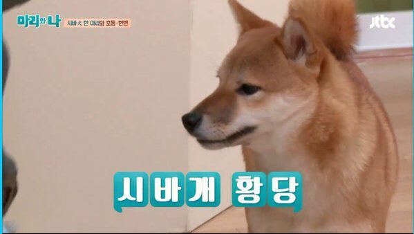 아버지 초상때 오지않은 예비신랑 +빡친댓글들 | 인스티즈