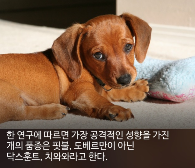 우리가 몰랐단 16가지 | 인스티즈