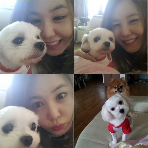 반려동물 사지 않고 입양한 연예인들.jpg | 인스티즈