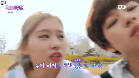 사나 왈 우리 이러다 (솔로로) 죽는거 아냐? | 인스티즈