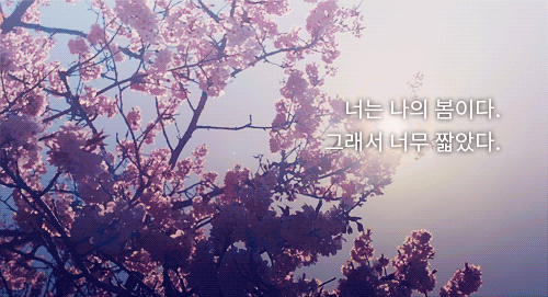 언젠가 엄마와 나의 사이를 가로막는게 저 방문이 아니라 하늘이 되면 어쩌려고 나는 항상 한 발 늦는걸까 | 인스티즈
