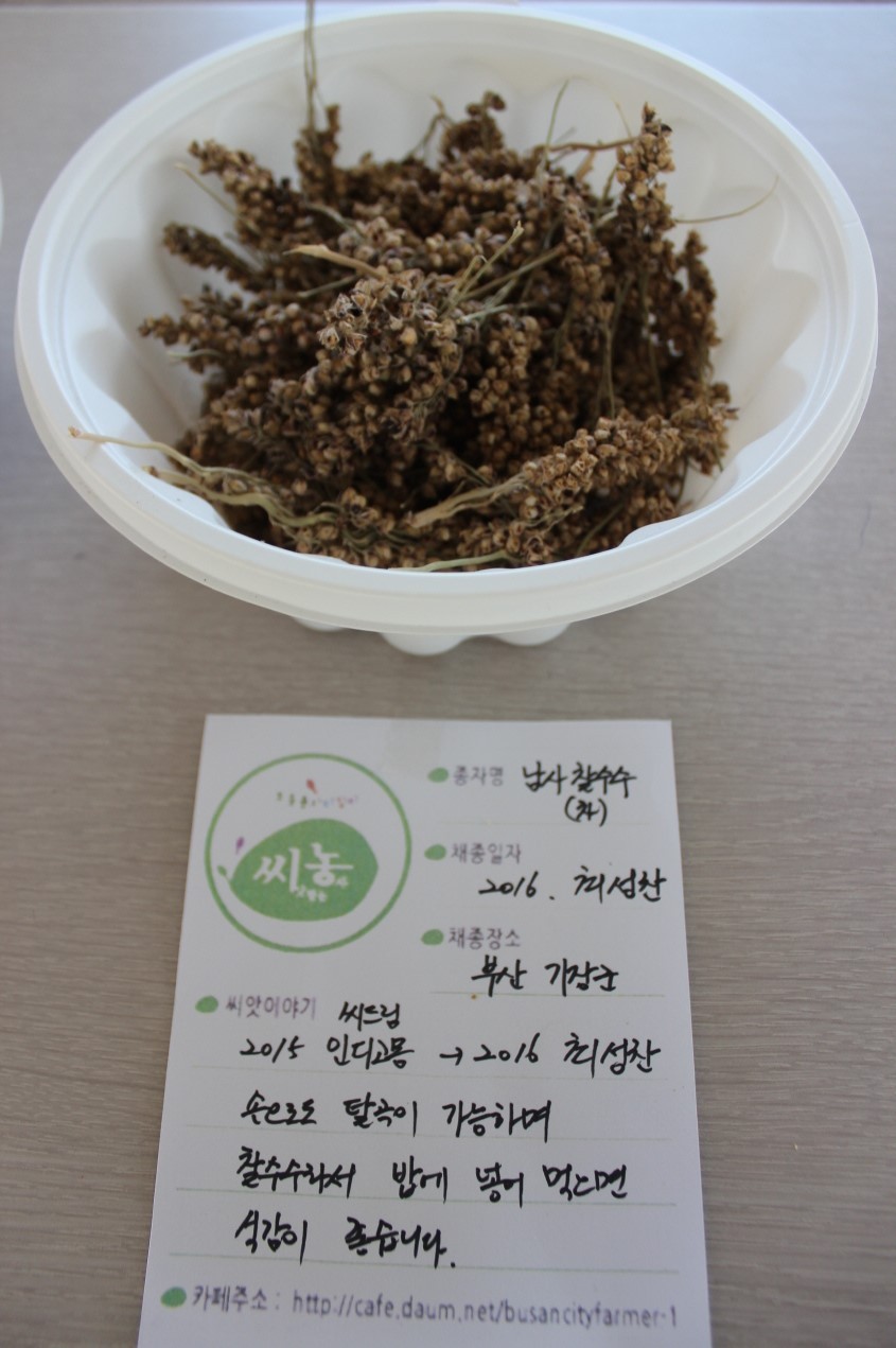씨드림 이미지