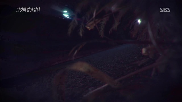 [그것이알고싶다] 두 얼굴의 여인 - 15년간의 거짓말 3 | 인스티즈