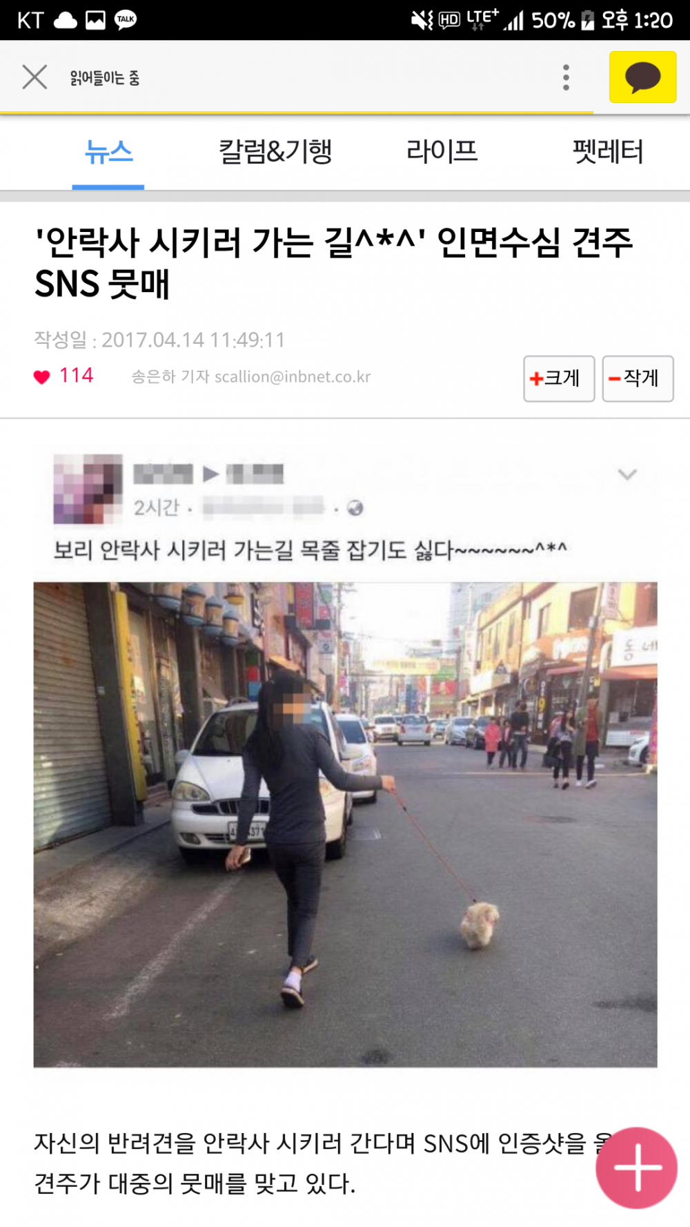 멀쩡한 강아지 안락사 SNS 인증 | 인스티즈