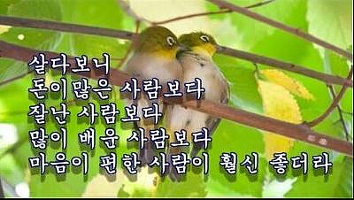 행복한잔 이미지
