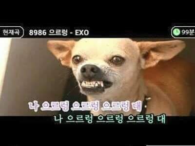 클라스노래방 이미지