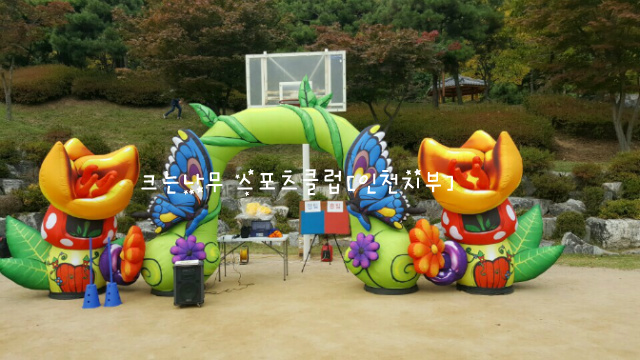 동산스포츠 이미지