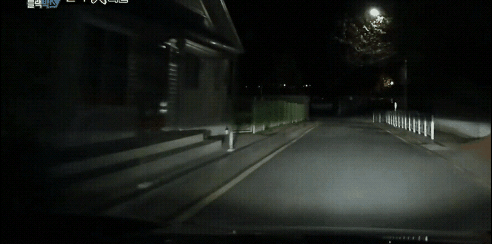 무서운 부엉이.gif | 인스티즈