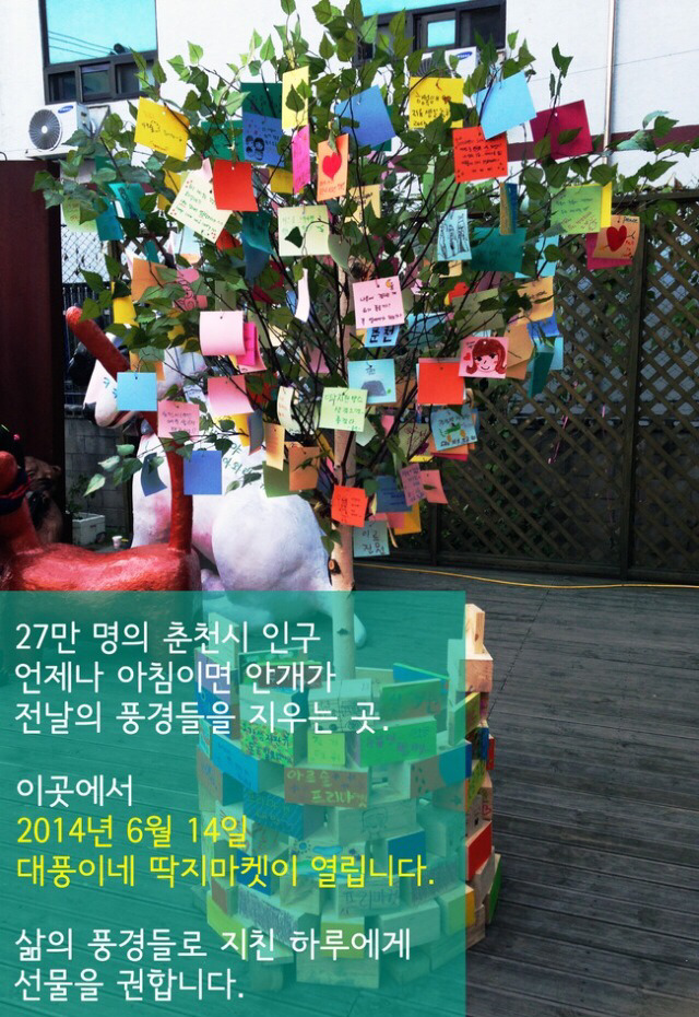 대풍이네 이미지