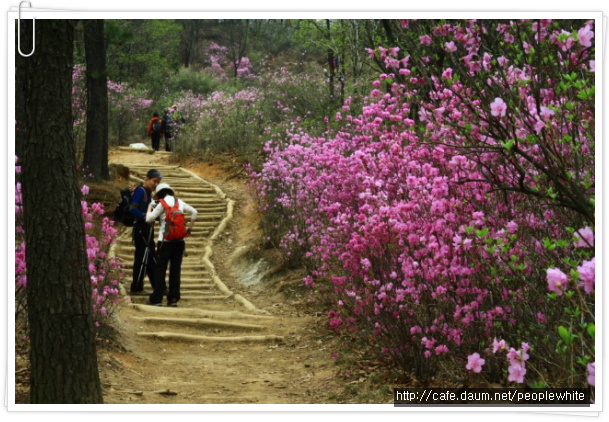 산책 E&D 이미지