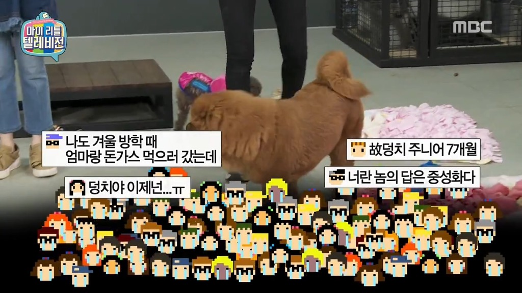 [마리텔] 나는 친해지고 싶었을뿐인데.jpg | 인스티즈