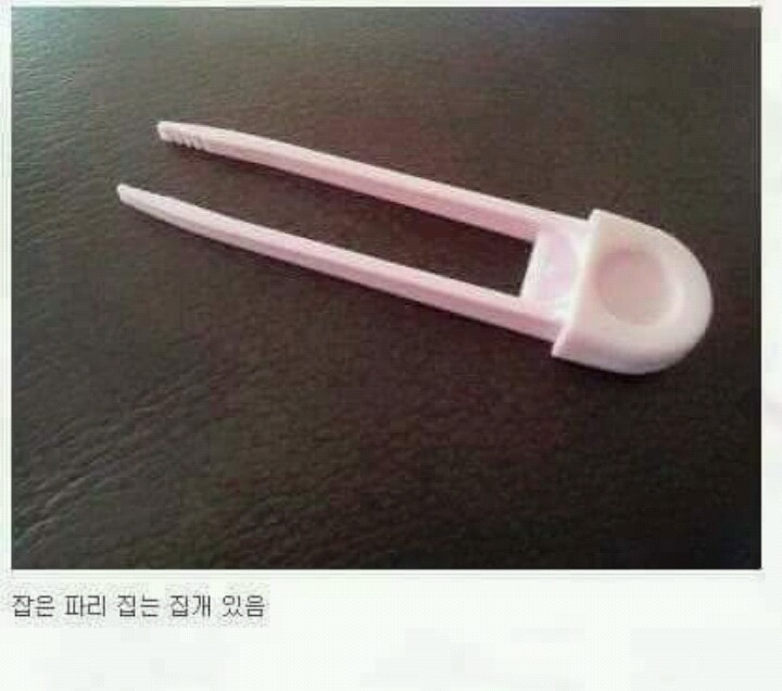 우리가 알지 못했던 파리채의 기능 | 인스티즈