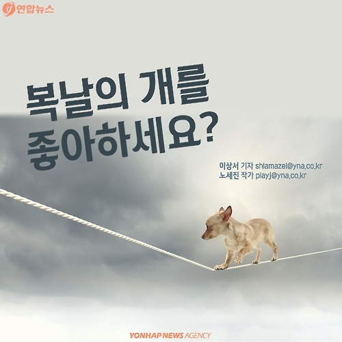 복날의 개를 좋아하세요? | 인스티즈