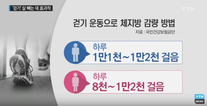 살 빼려면 하루에 얼마나 걸어야 할까? | 인스티즈