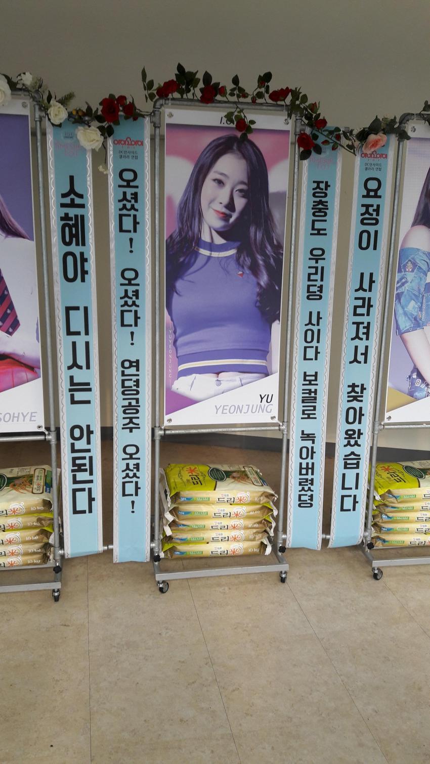 현재 아이오아이 콘서트장에 있는 화환들 | 인스티즈