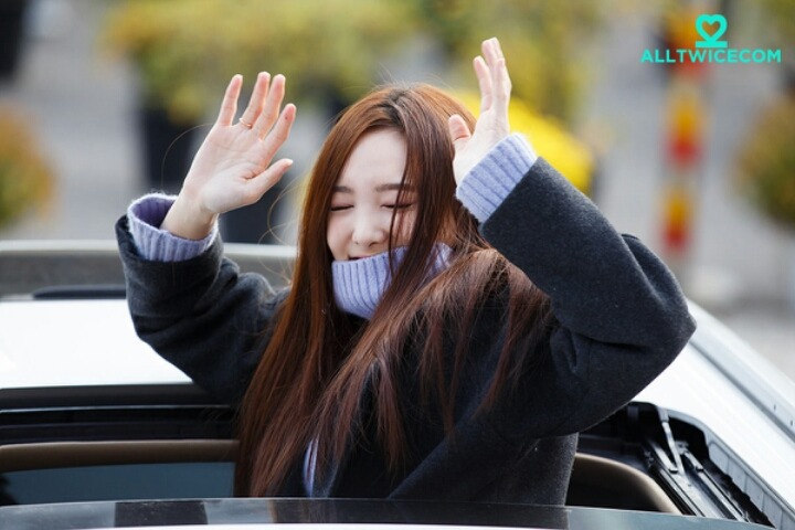 밤새 이미지