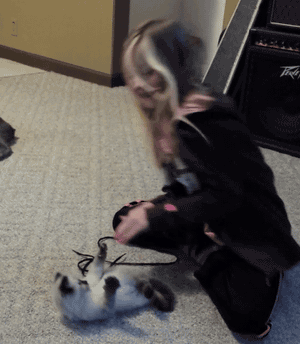 따라하냥.gif | 인스티즈