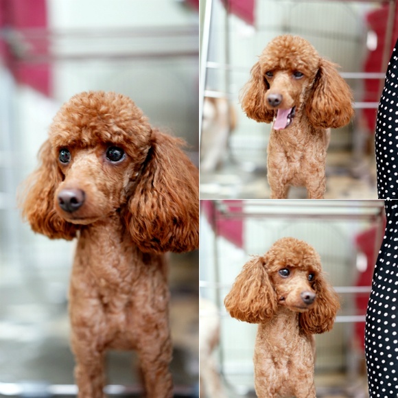 뷰토 이미지