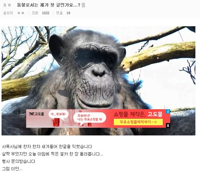 허언증 갤러리.JPG | 인스티즈