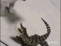 1년뒤에 보자.gif | 인스티즈