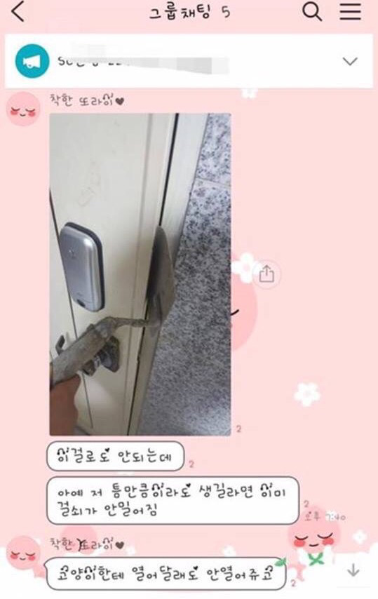 고양이가 문잠궈서 못들어가고있어요ㅜㅜ | 인스티즈