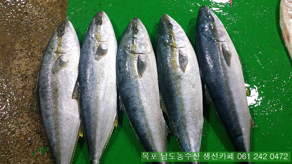 금당롯지 이미지