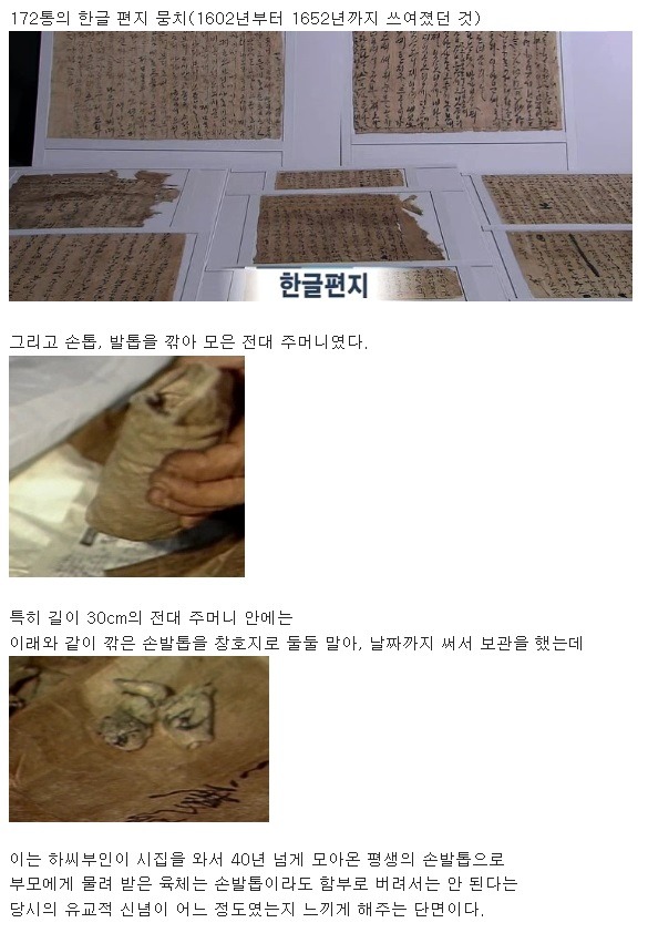 400년 전 무덤 속 편지 내용들 | 인스티즈
