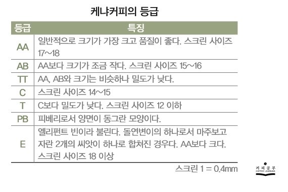 케냐빈 이미지