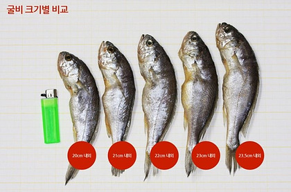 영광 이미지