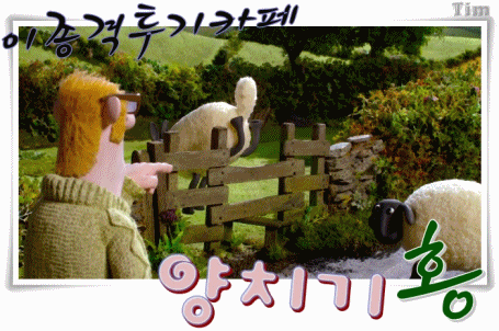 호주에서 유행하는 햄도그.. | 인스티즈