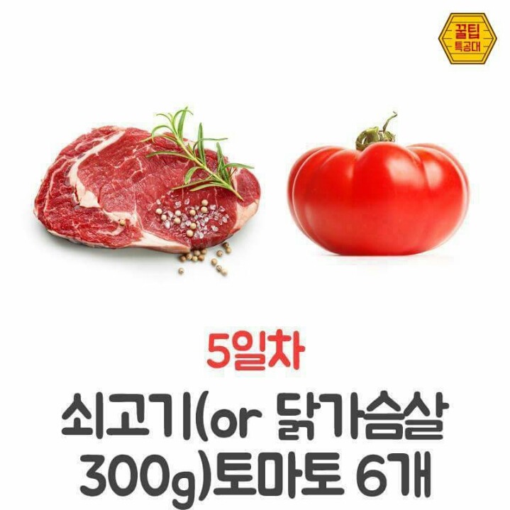 7Days 7kg GM 다이어트 | 인스티즈