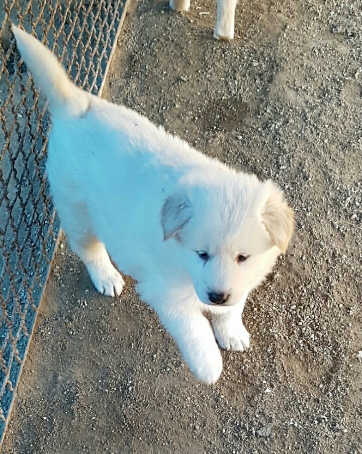 세진 이미지