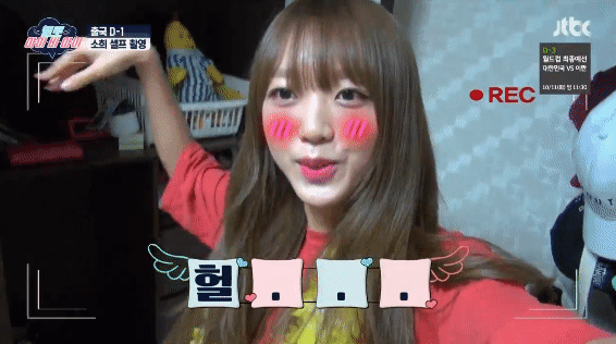오늘자 헬로아이비아이.gif | 인스티즈