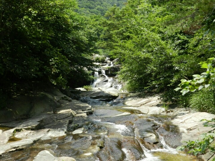 보리수펜션 이미지