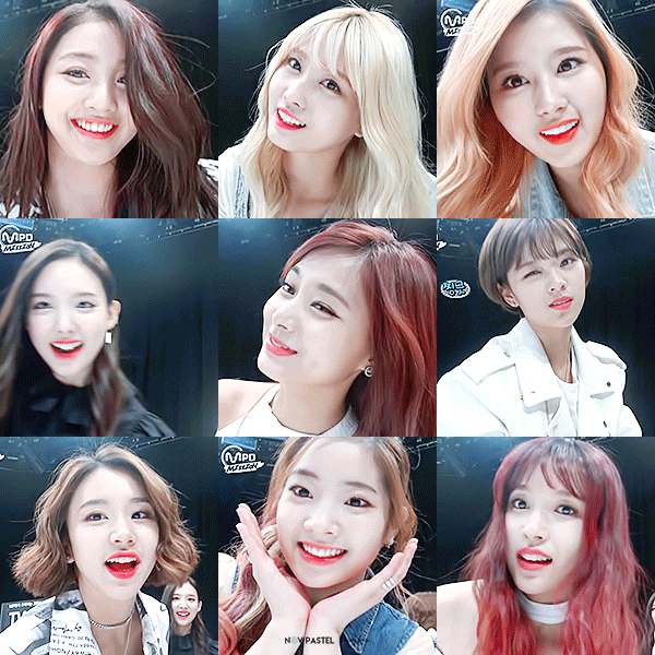 트와이스 지효가 말하는 멤버별 닮은 동물.jpg | 인스티즈