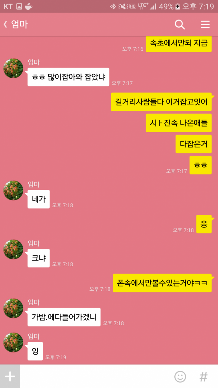 아들이 잡은 포켓몬이 걱정인 엄마.jpg | 인스티즈