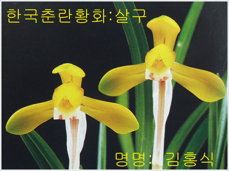 천향원 이미지