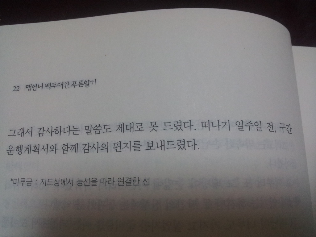 맹여사 이미지