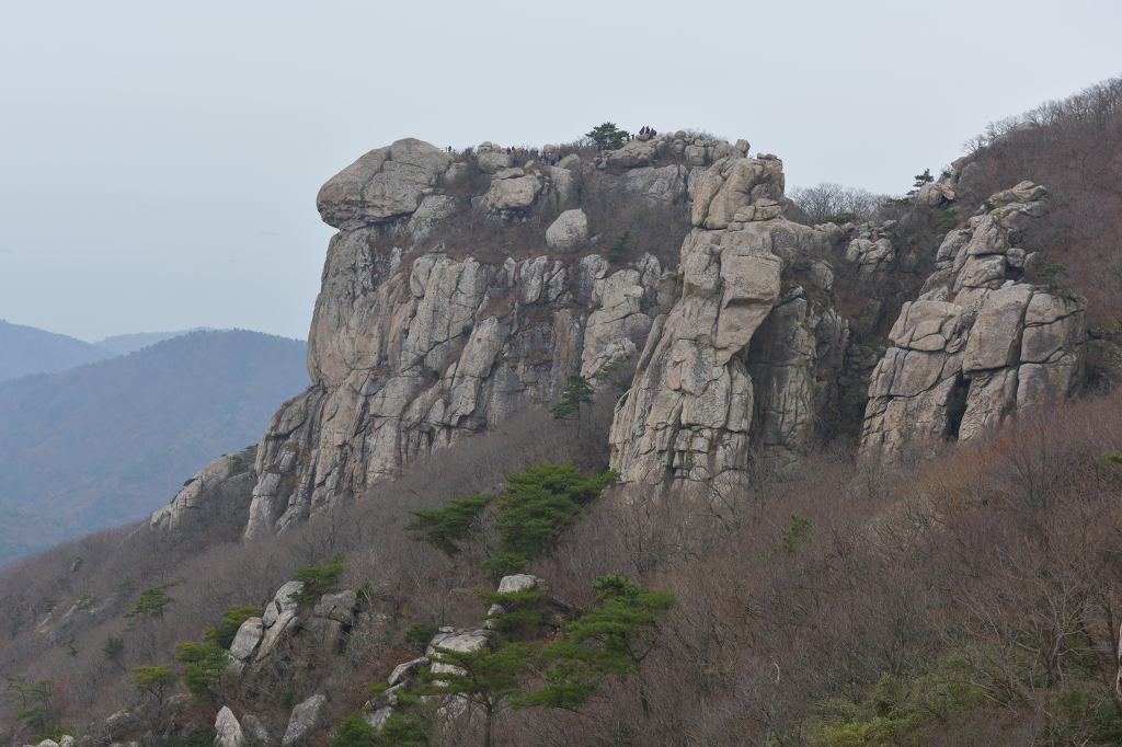 남해의 숲 이미지