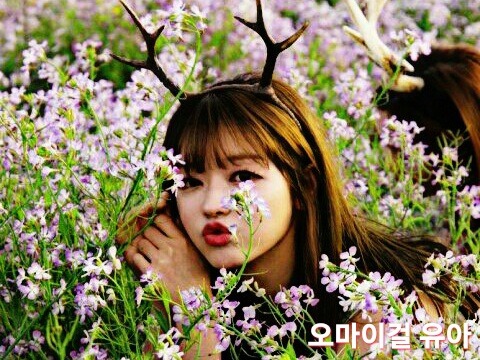 장수 온라인게임들의 인기비결 | 인스티즈