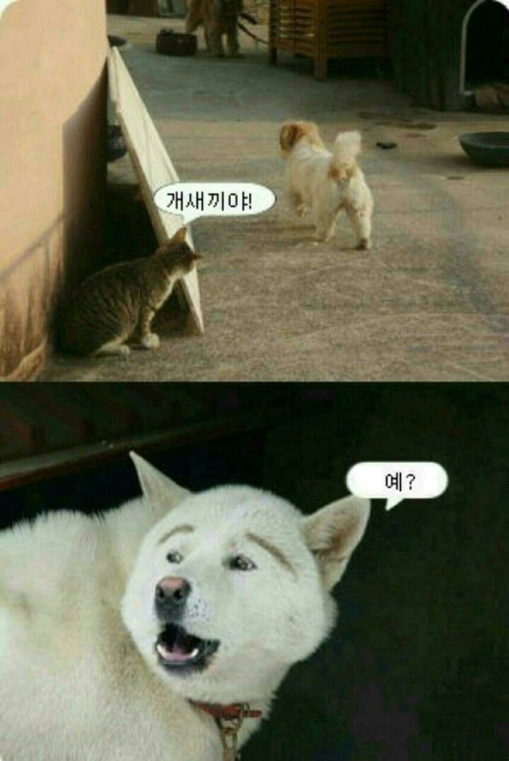 취한남자 이미지