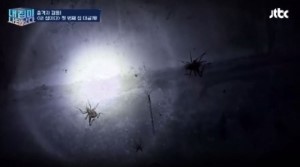 내집이 나타났다!! 5억의 제작비 1호집.jpg | 인스티즈