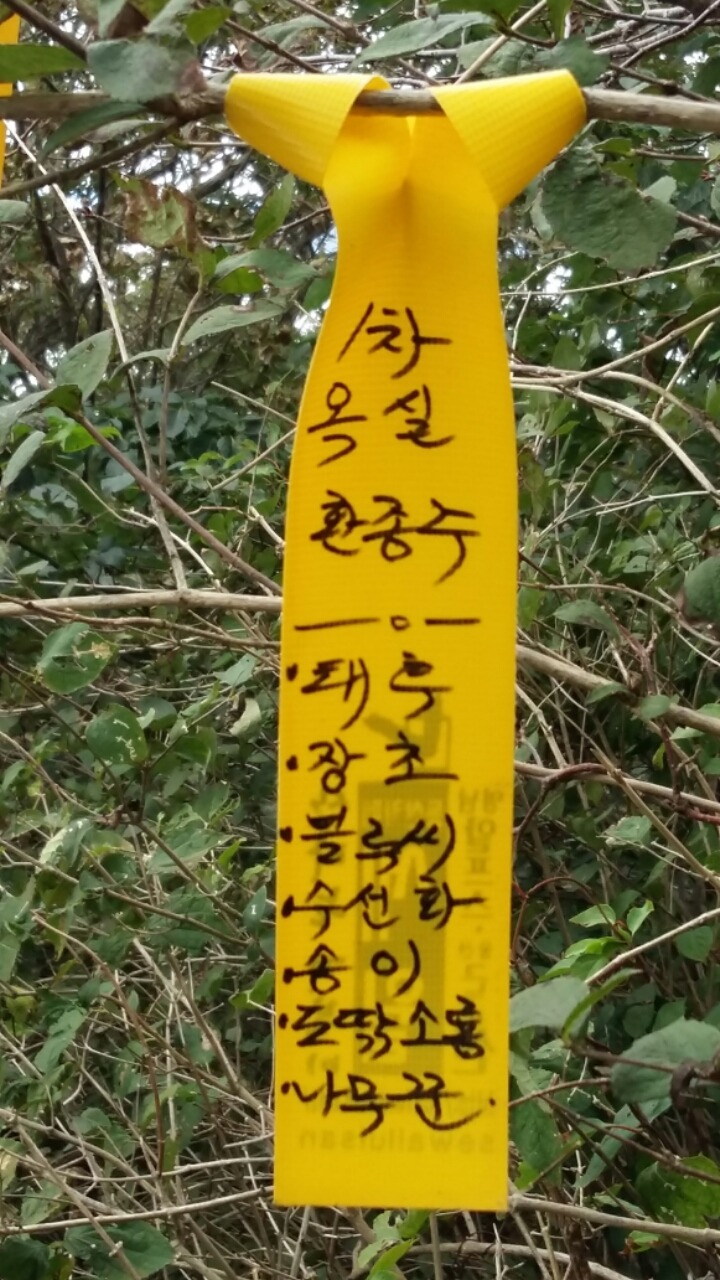 옥실이네 이미지
