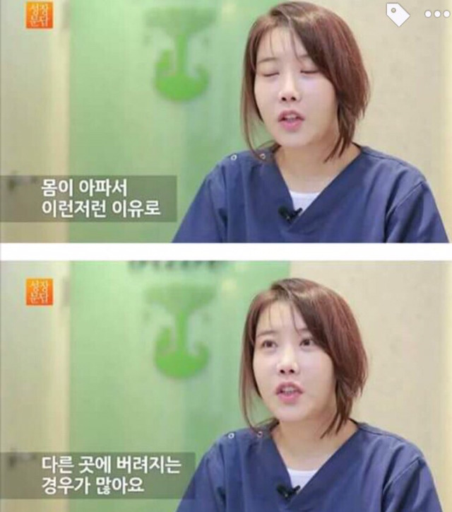 강아지나 고양이를 키우려는 사람들에게 | 인스티즈