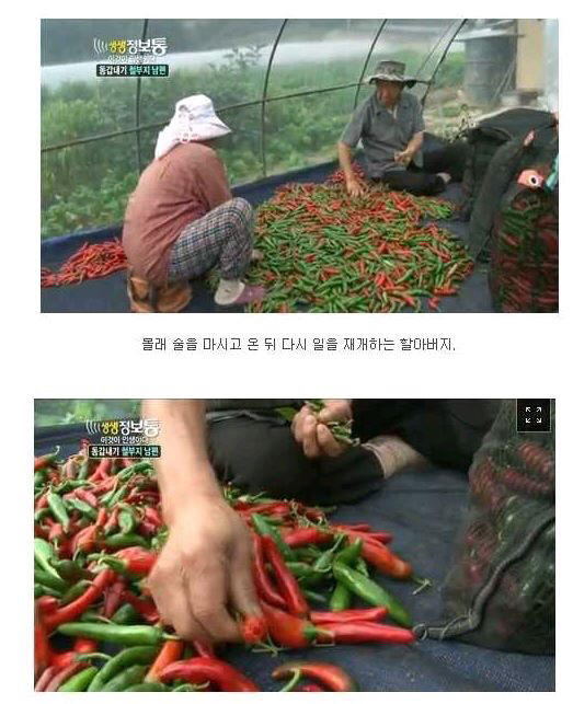술을 사랑하는 할아버지가 사는법 | 인스티즈