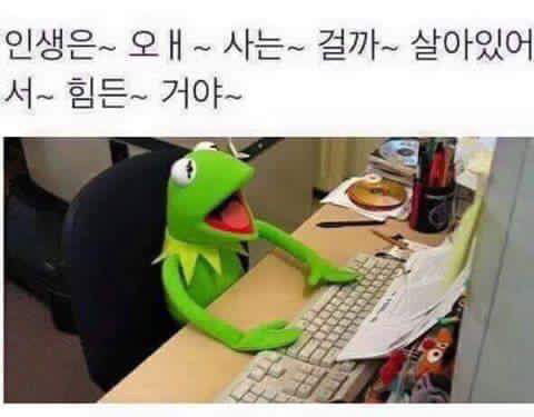 개구리파티는 아침해가뜨기전까지계속된다, | 인스티즈
