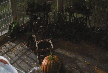 디즈니 실사판 신데렐라 변신 장면 비교.gif | 인스티즈