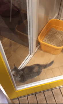 심장에 해로운 짤.gif | 인스티즈